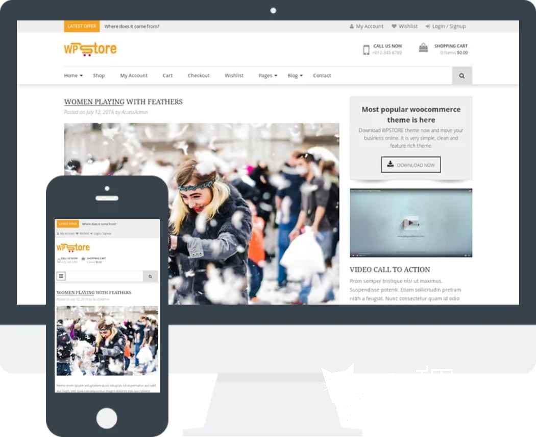 免费WordPress主题|WP store 一款免费电子商务主题