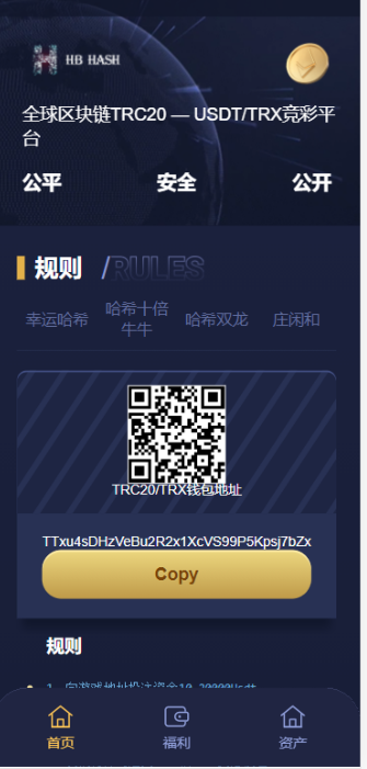 免费|哈希竞猜源码-支持四种玩法源码免费下载