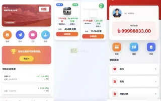 海外汽车电气投资源码/三级分销/可自定义产品 投资理财源码