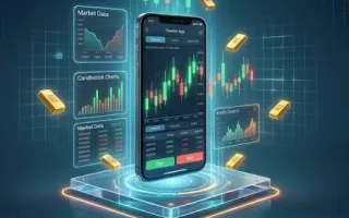 为什么说私有化部署的外汇系统是 2026 年的安全屏障？