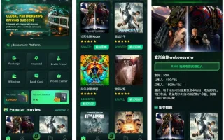 Flickiri Fun海外电影投资理财源码/前端html+后端PHP
