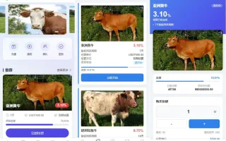 海外Vue多语言智能养殖投资理财系统源码前端PHP开源多级团队返利与每日签到奖励