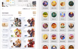 【NG游戏】娱乐城api接口+NG游戏.net程序源码+19套前端UI模板+搭建教程